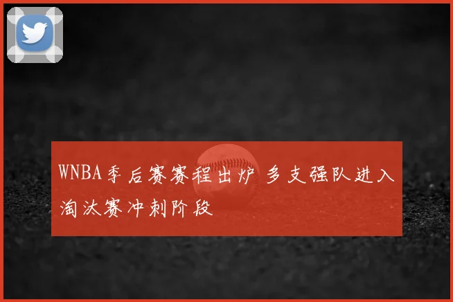 WNBA季后赛赛程出炉 多支强队进入淘汰赛冲刺阶段